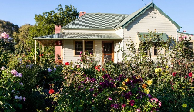 Pizza oven; fire pit; lots of space indoor and outdoor, fires and aircon. Groups in Mudgee