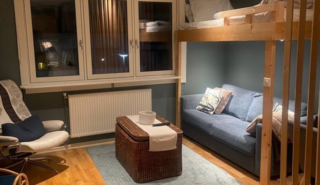Practical smart studio Apartment near popular Frogner Park.