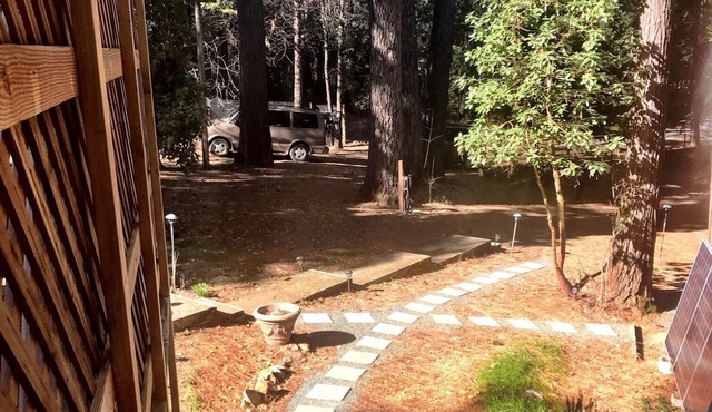 Private studio apartment one mile from downtown. in Nevada City