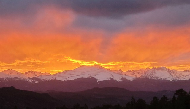 Scar Top Mountain Escape, Fiber Internet, Mountain Top Views!