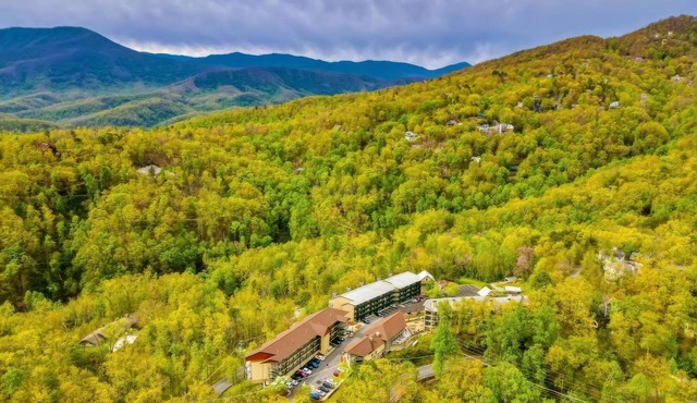 Scenic 2-Bedroom Suite near Smoky Mountains