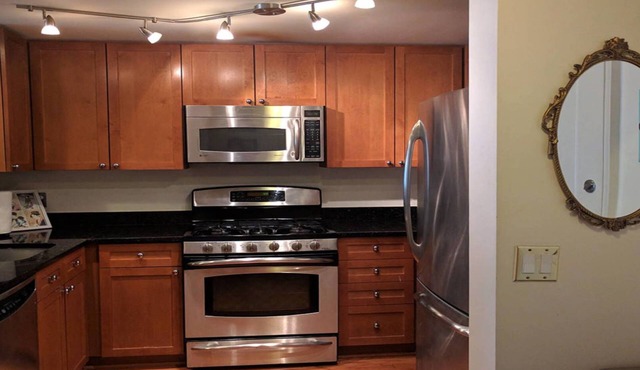Short term luxury condo in DT of Silver Spring near Red Line & Amenities in Silver Spring