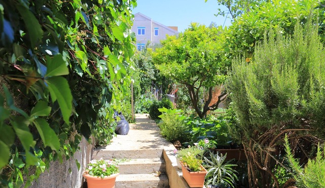 Studio flat with terrace Živogošće - Blato, Makarska (AS-1057-a) in Živogošće - Blato