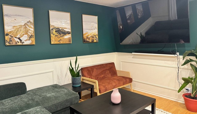 Stylish basement bedrooms