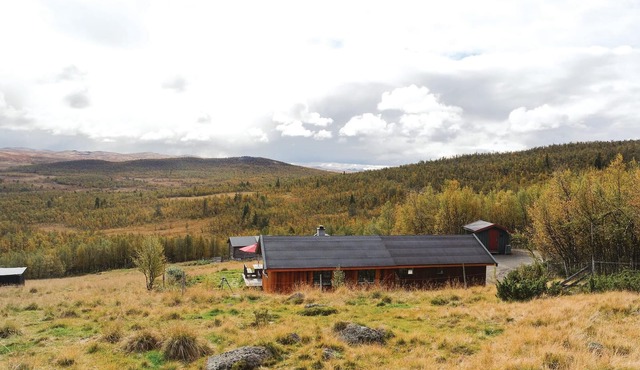 Tallåsen Dagalifjell