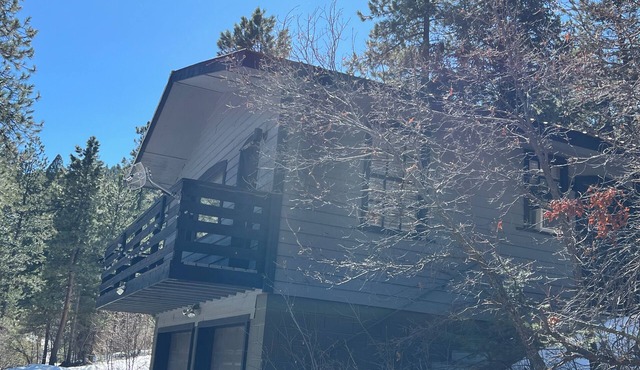 The Happy Bear Lodge. Private, cozy, clean and minutes from Red Rocks
