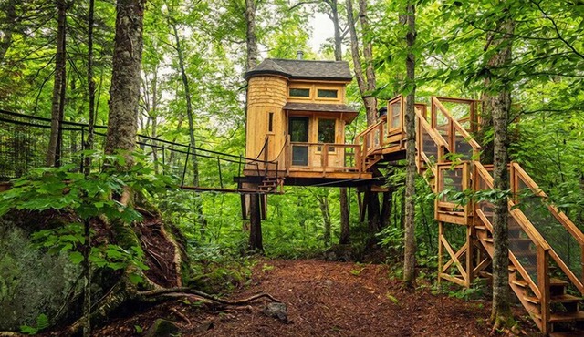Treehouse between two trees, suspension bridge and deck | Lodging #13 in Mont-Blanc
