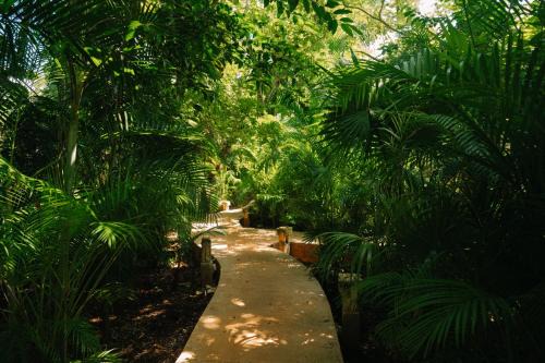 Aldea Coba Escape Boutique Experience 