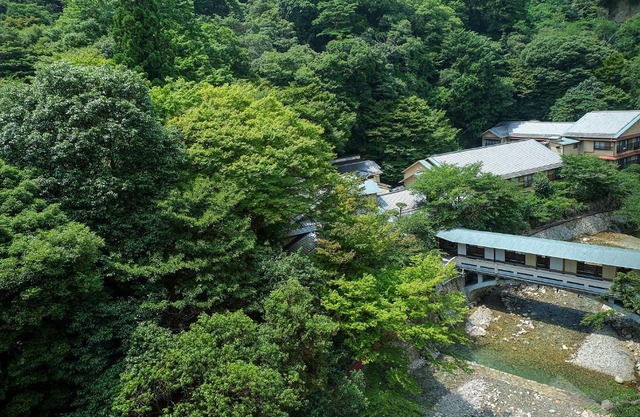 Arima Onsen Gekkoen Korokan 