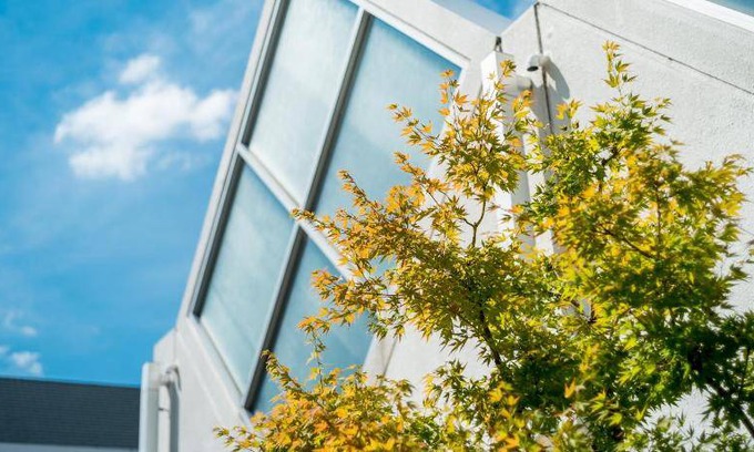 Yamatokoriyama Hotel | 36 m² Hotel ∙ 6 guests