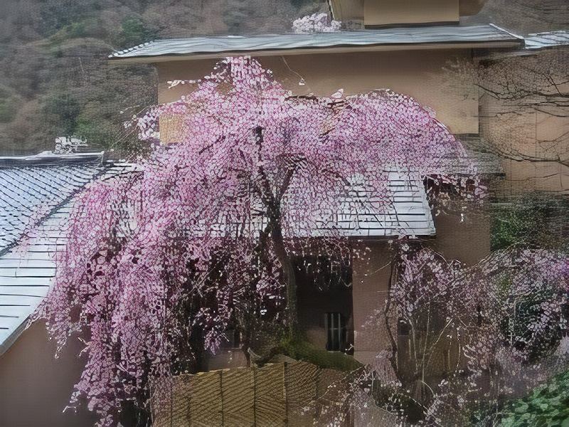 Photo of Buildings in Yoro