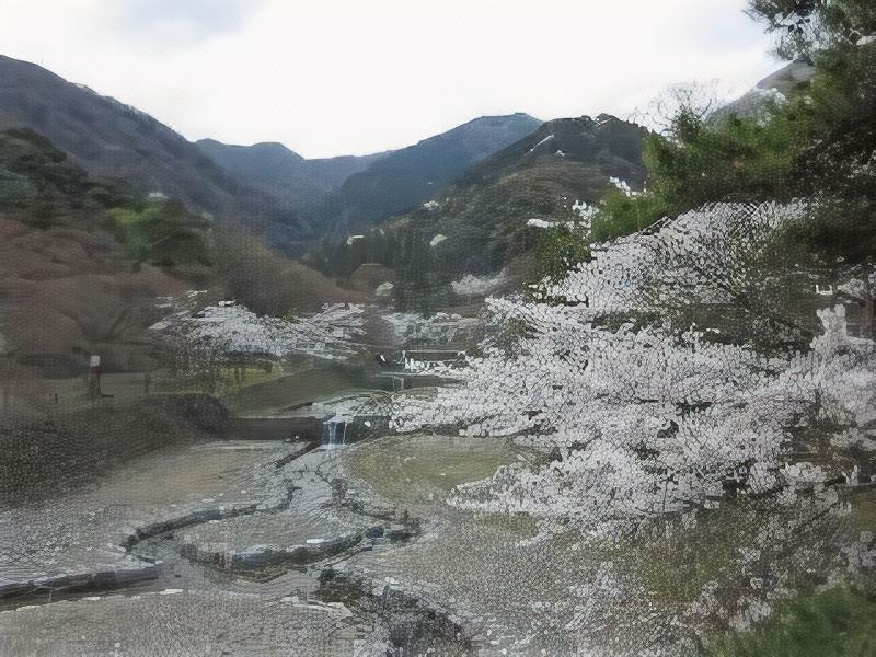Photo of Outdoor in Yoro