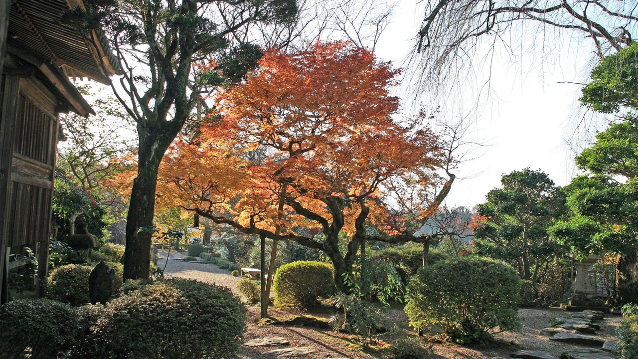 Photo of Others in Yoshino