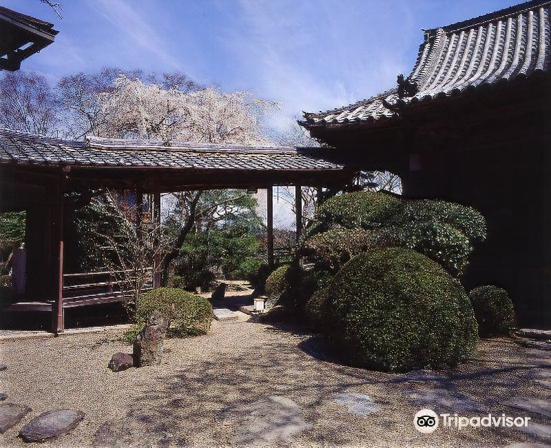 Photo of Buildings in Yoshino