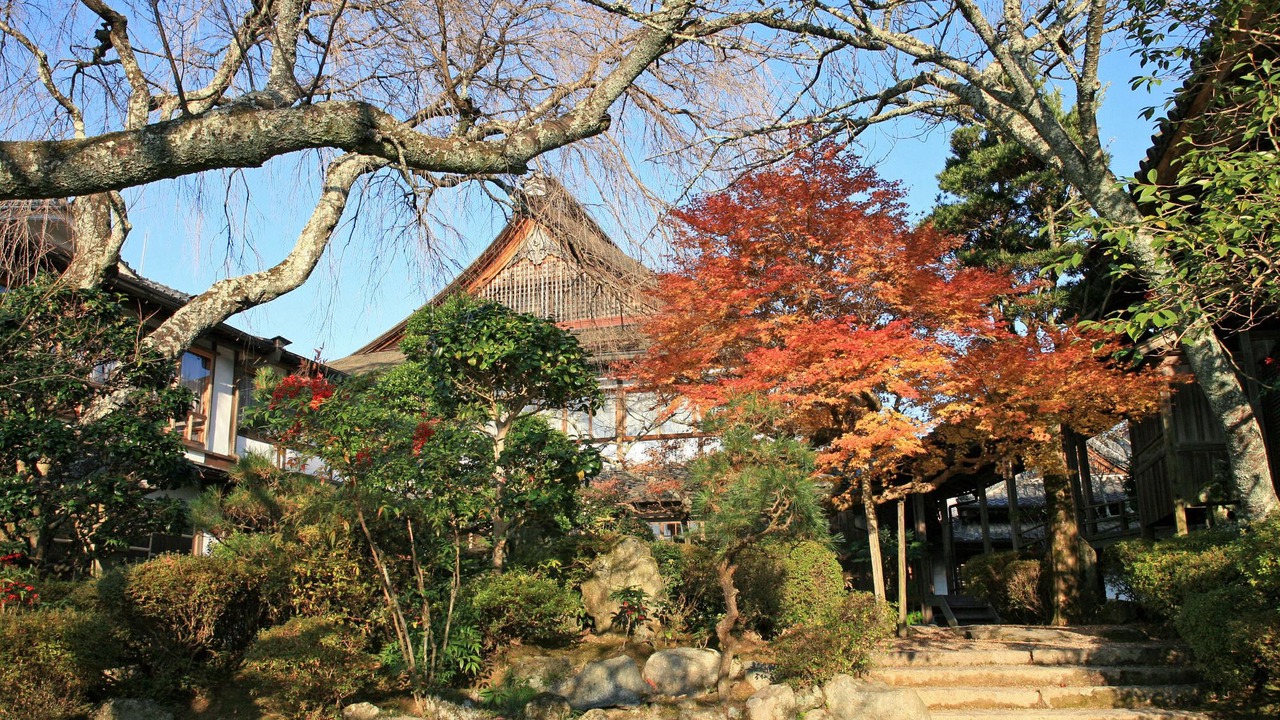 Photo of Others in Yoshino