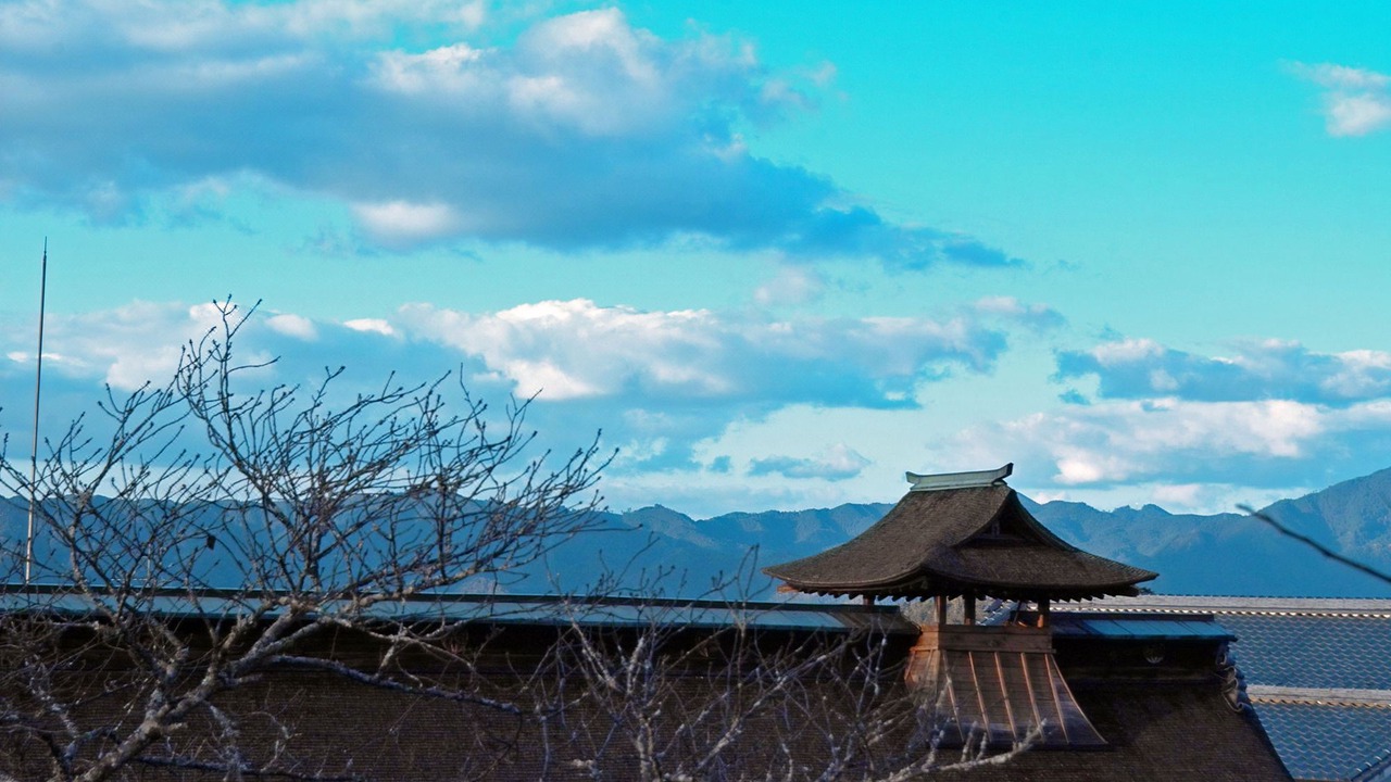 Photo of Others in Yoshino