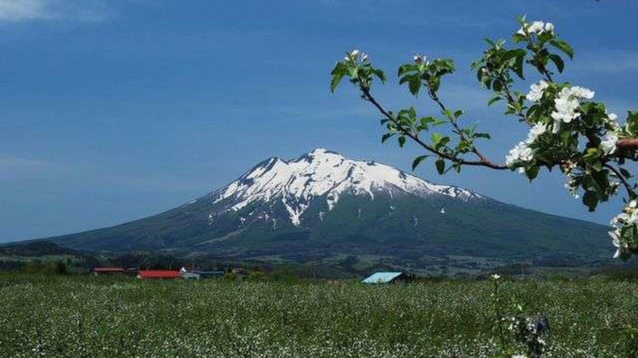 Photo of Outdoor in Hirosaki