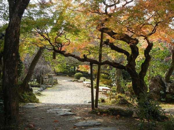 Photo of Outdoor in Yoshino