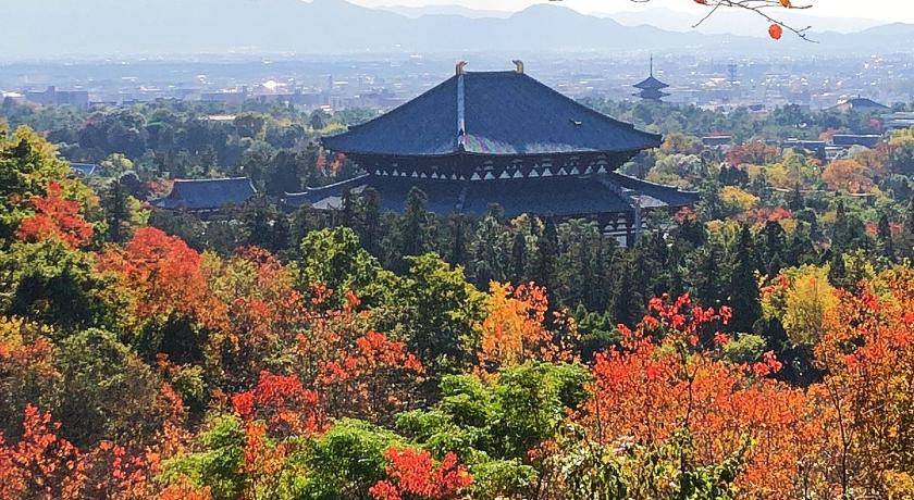 Photo of Others in Nara