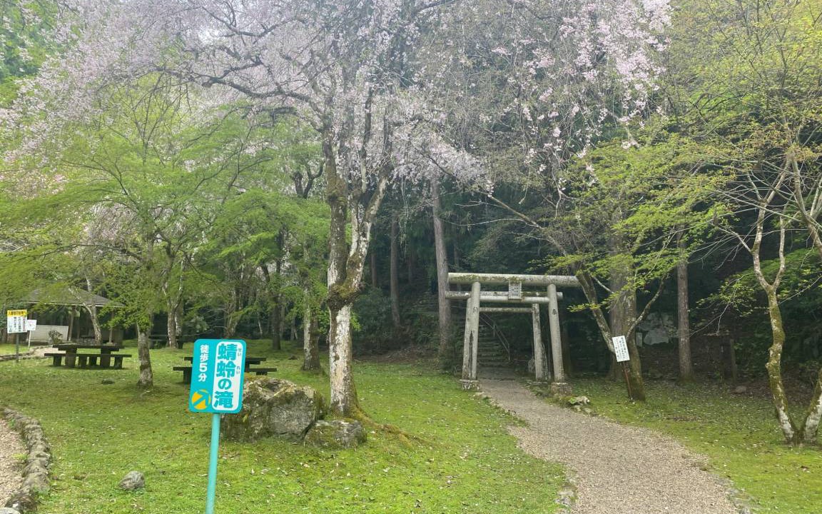 Photo of Others in Yoshino