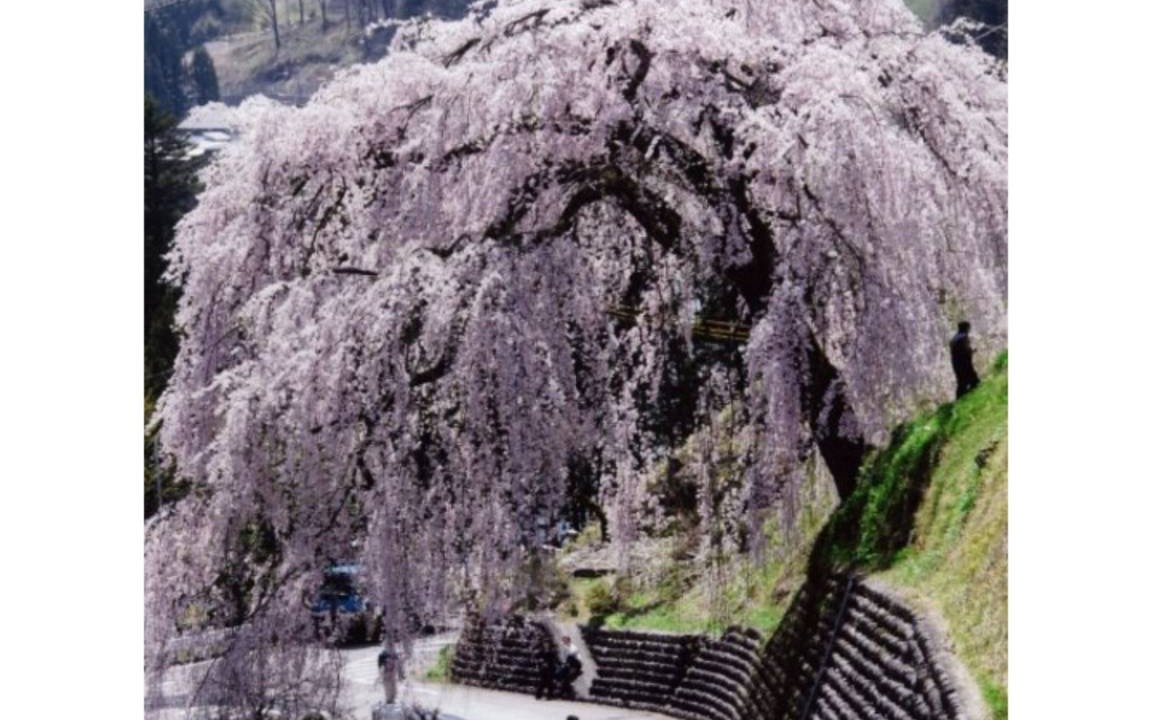 Photo of Others in Gero Onsen