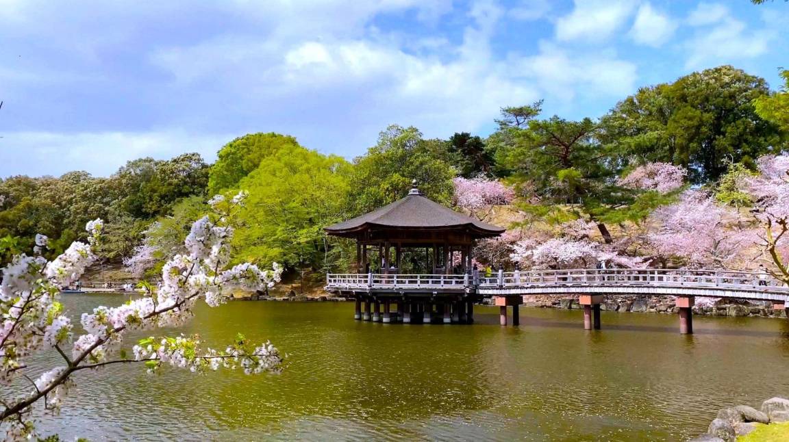 Photo of Others in Nara
