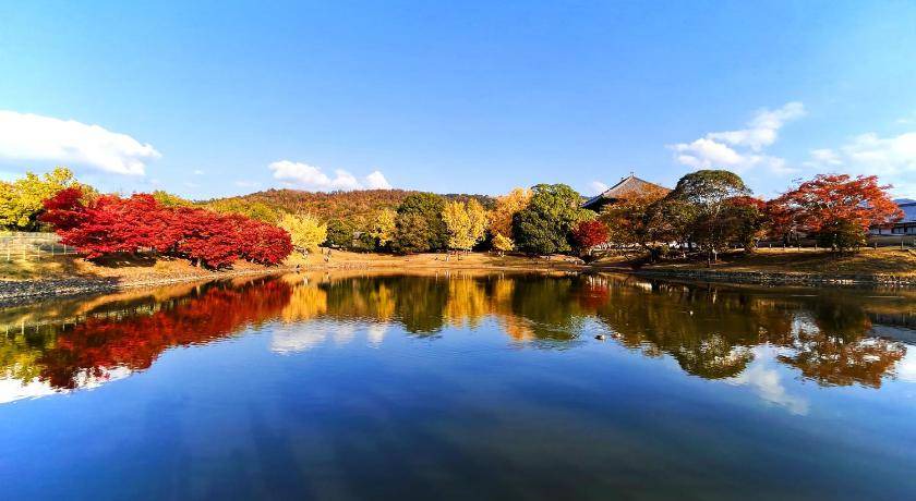 Photo of Others in Nara