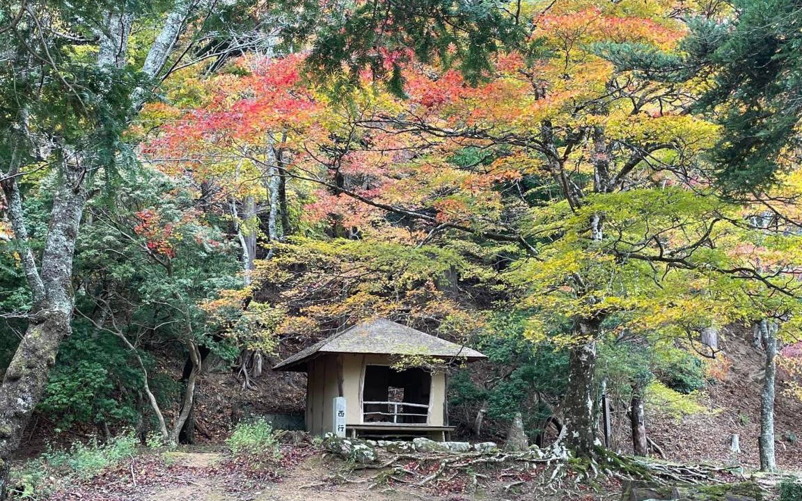 Photo of Others in Yoshino