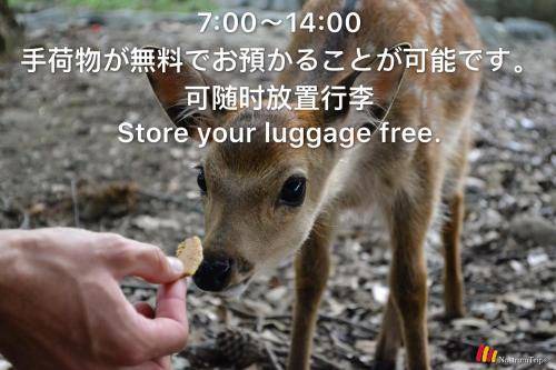 Photo of Others in Nara