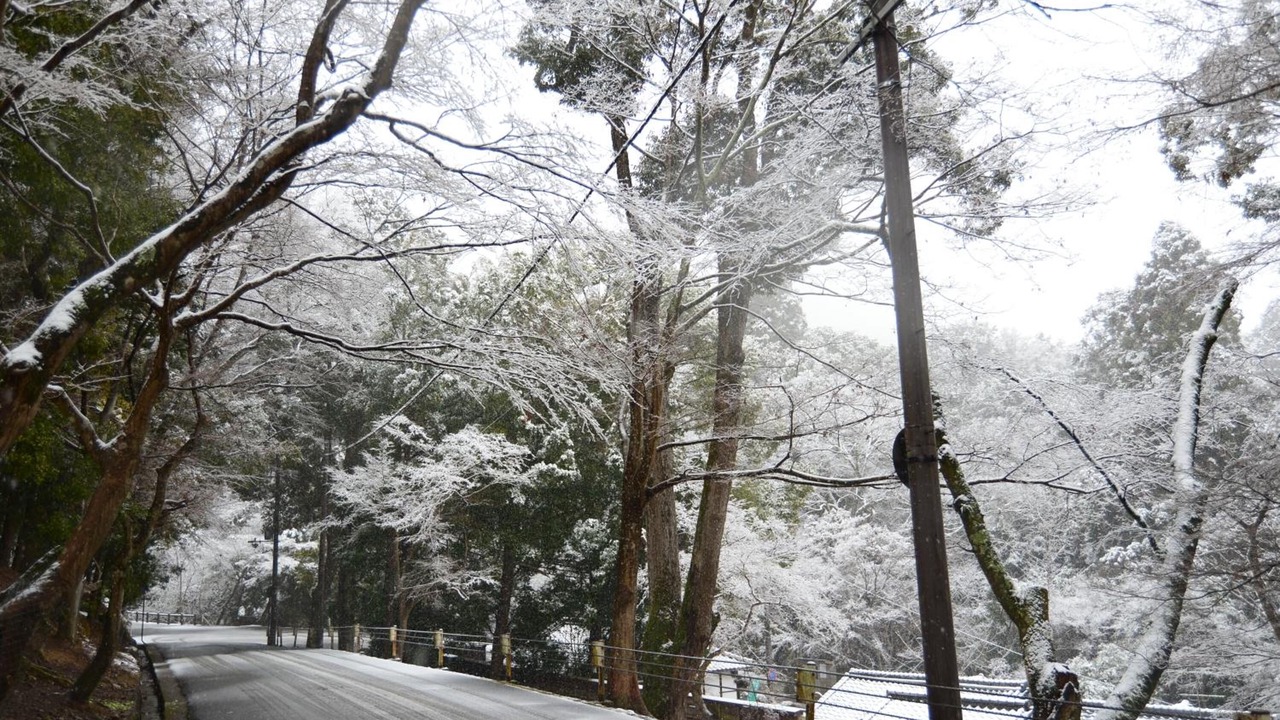 Photo of Outdoor in Nara