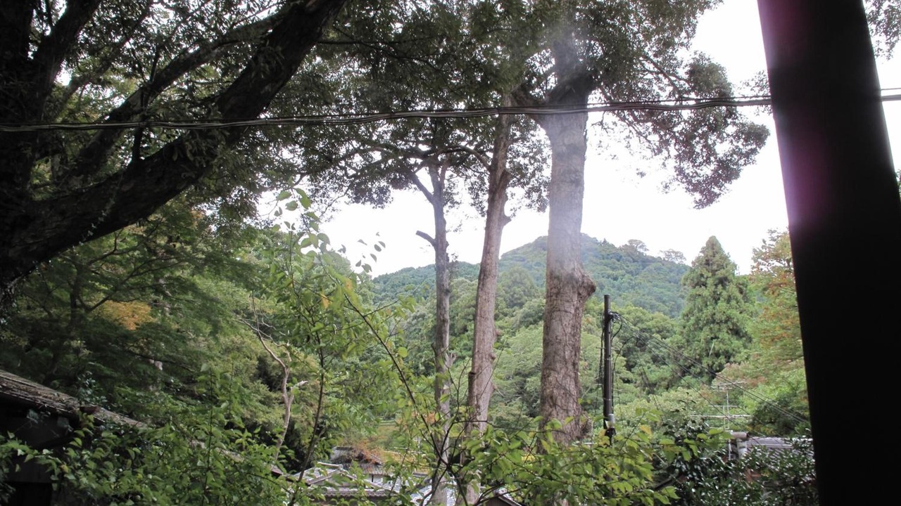 Photo of Outdoor in Nara