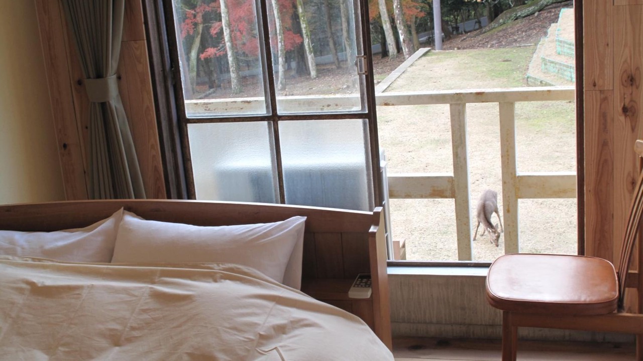Photo of Others in Nara