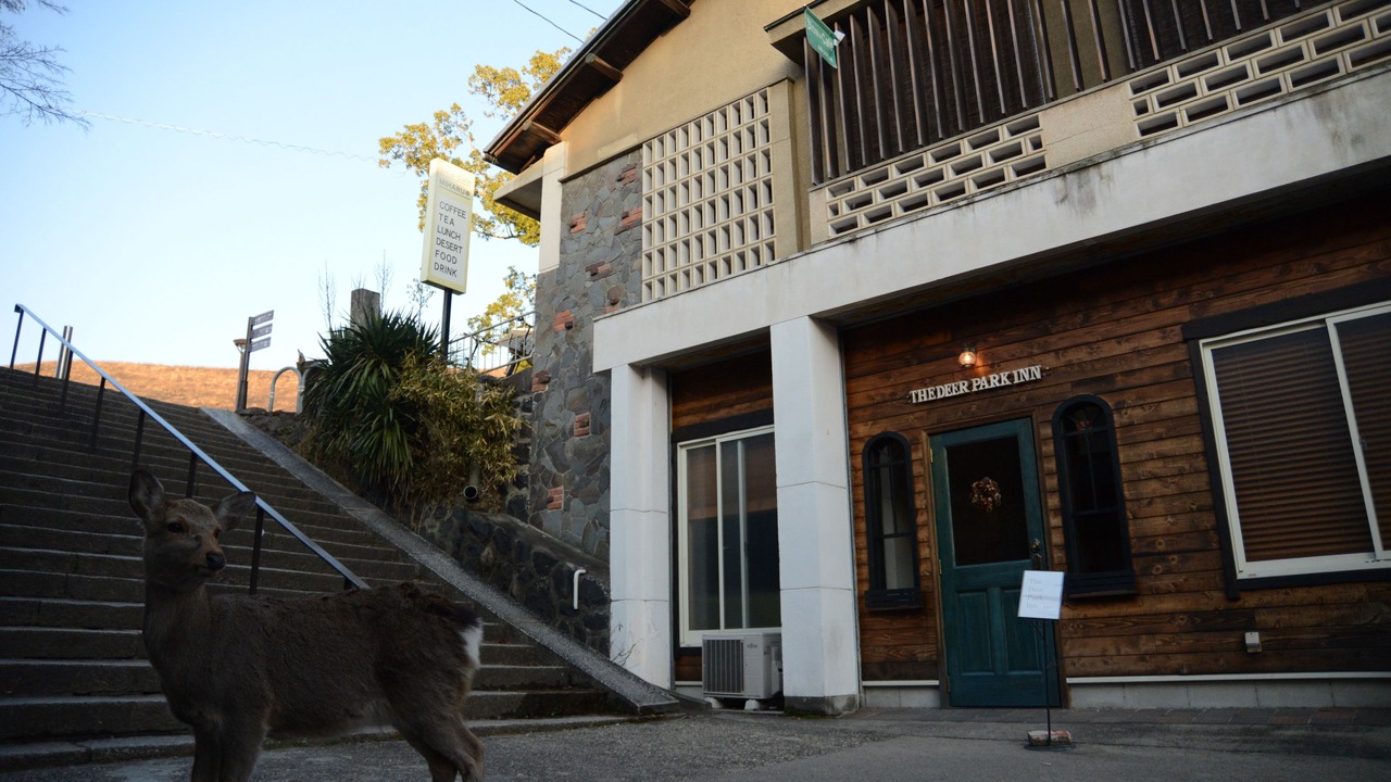 Photo of Outdoor in Nara