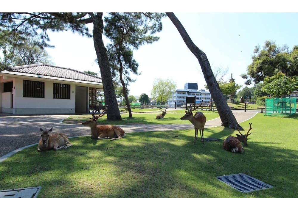 Photo of Others in Nara