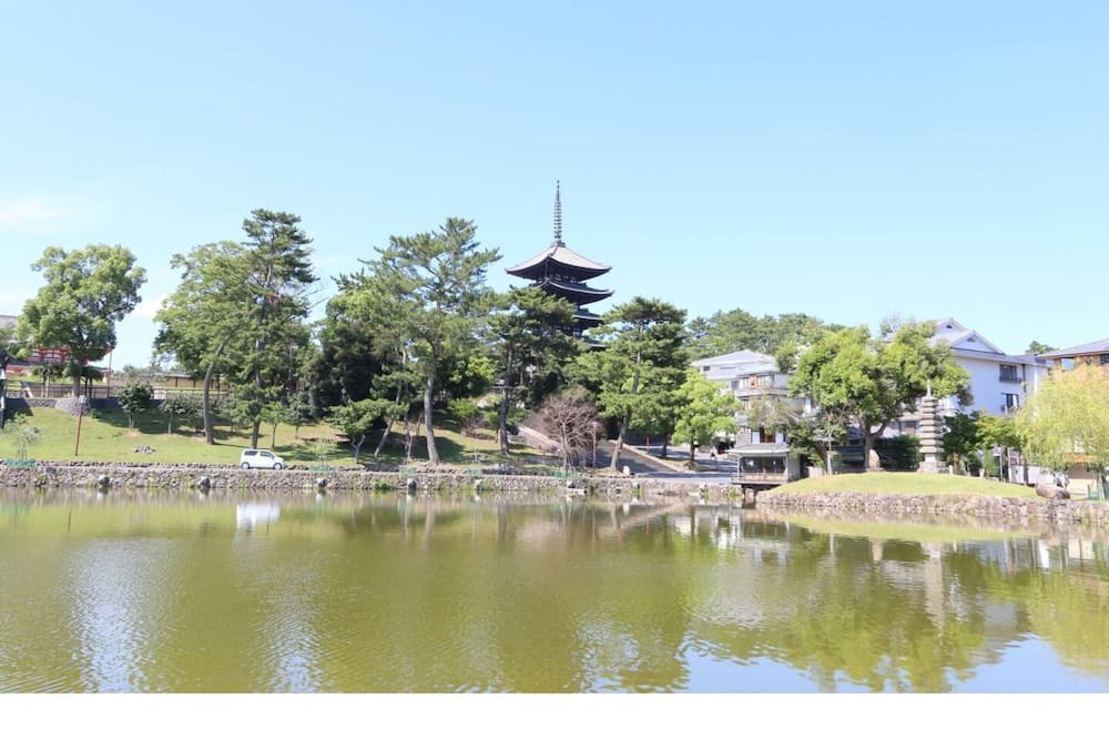 Photo of Others in Nara