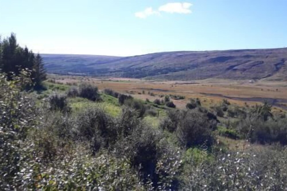 Photo of Others in Skorradalshreppur