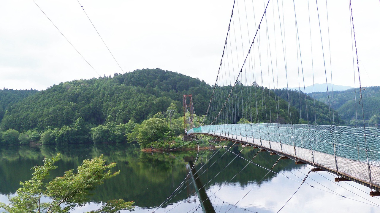 Photo of Others in Yoshino