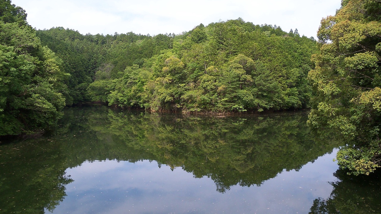 Photo of Outdoor in Yoshino