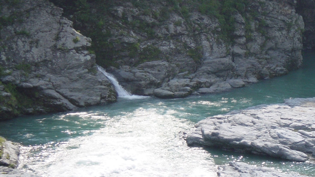 Photo of Others in Yoshino