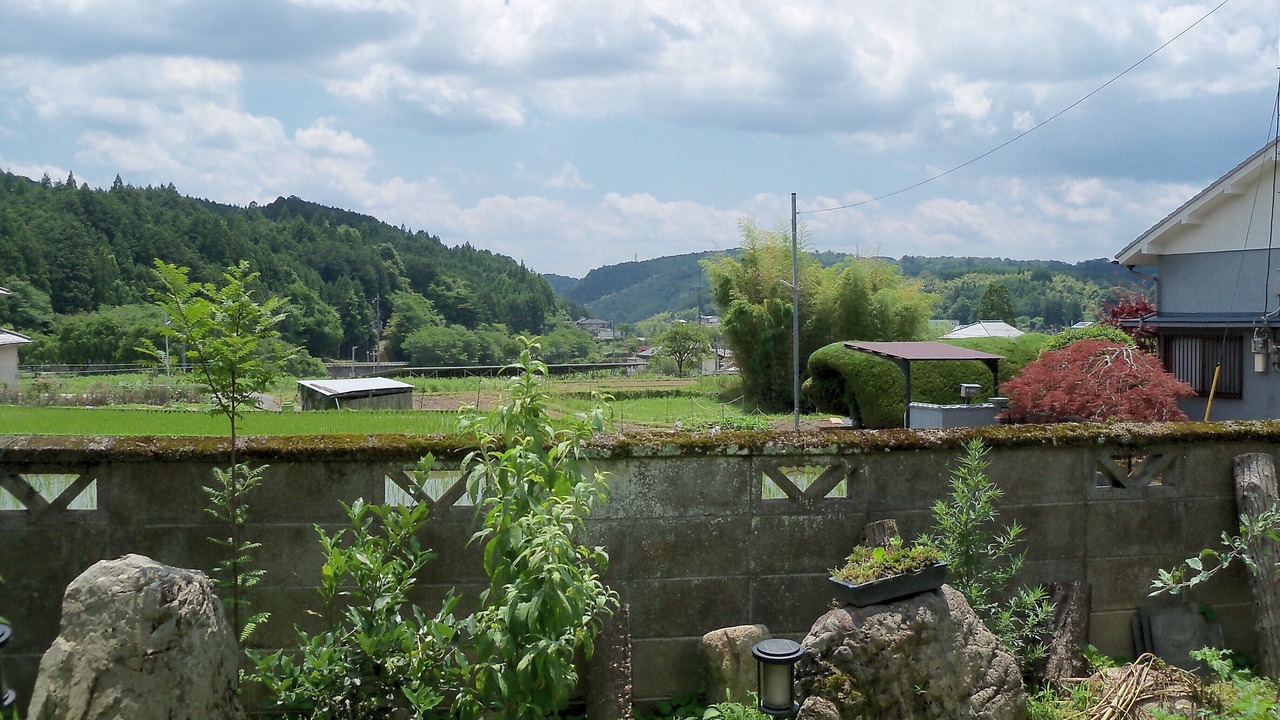 Photo of Outdoor in Yoshino