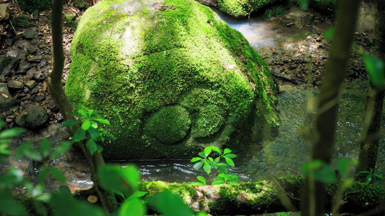 Photo of Outdoor in Nara