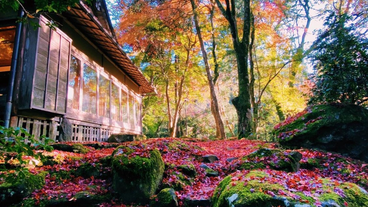 Photo of Outdoor in Nara