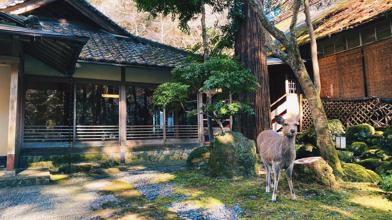Photo of Outdoor in Nara