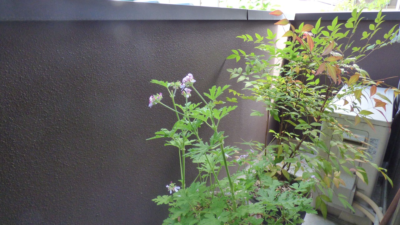 Photo of Outdoor in Sakyo Ward