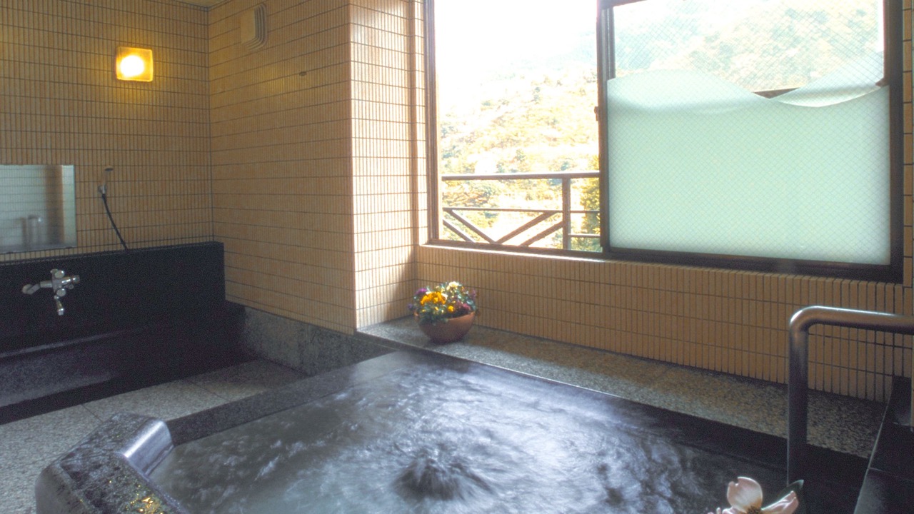 Photo of Others in Hakone Hot Springs