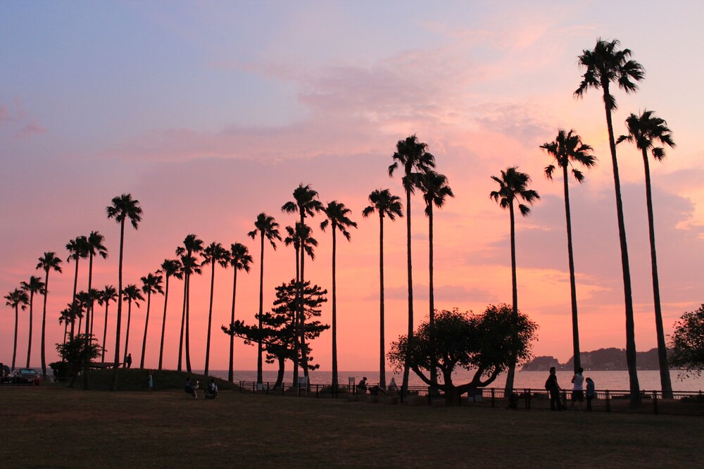 Photo of Others in Kotsubo