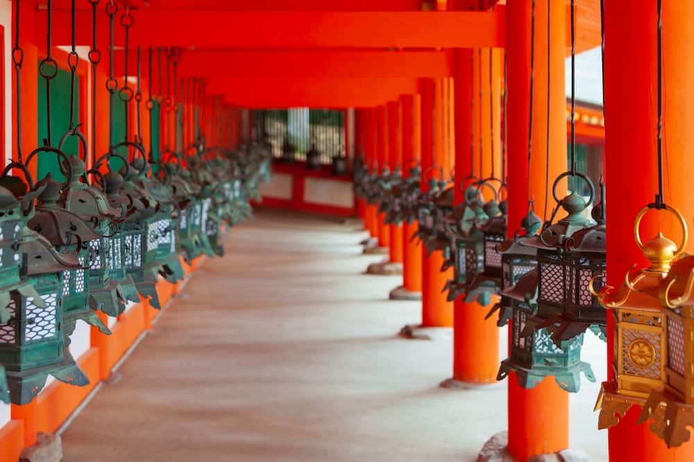 Photo of Others in Nara