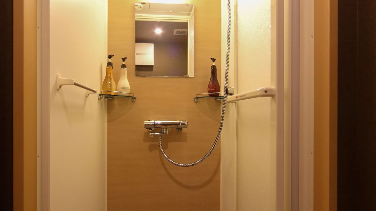 Photo of Bathroom in Nara