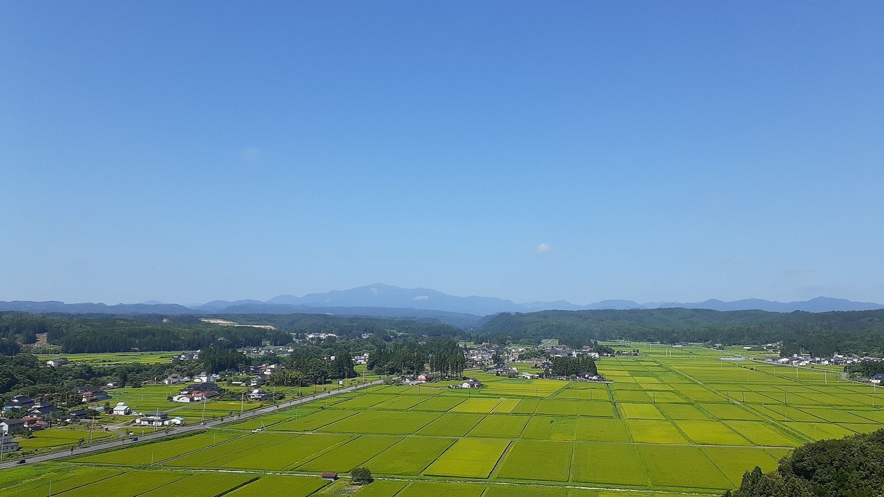 Photo of Others in Ichinoseki
