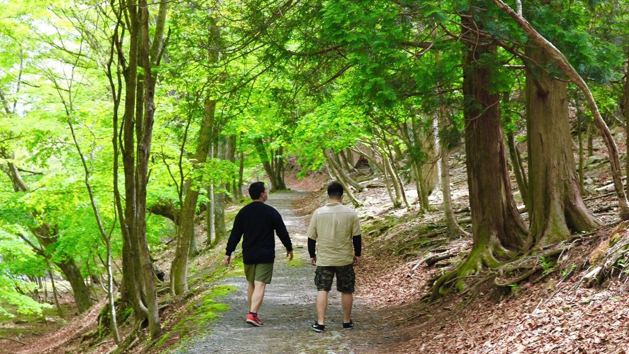 Photo of Outdoor in Nikko